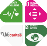 Evaluation of the project - Partnership through Dialog for Sustainable Development (ID: 52, project ID: 44)