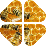 Evaluation of the Comprehensive Project Sustainable Development of Beekeeping in Georgia (ID: 66, project ID: 58)